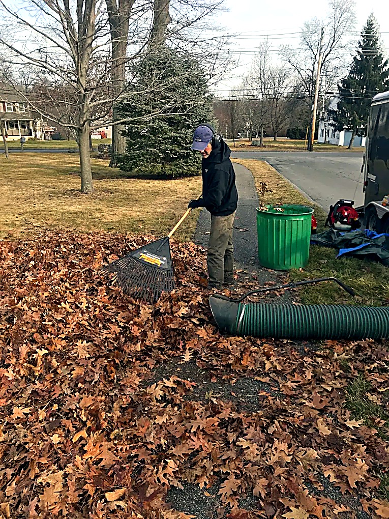 Fall leaf cleanup