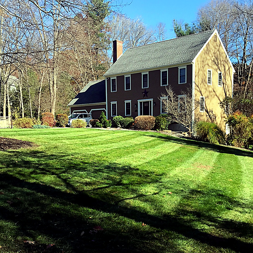 Freshly striped lawn